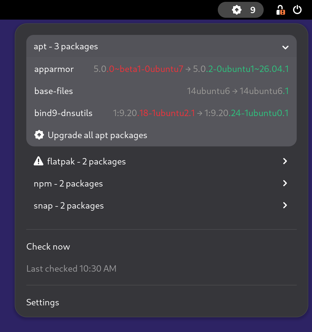 The extension's menu with one section per package manager, the first one unfolded, the failing one carrying a warning icon, each version pair flush right in the menu font