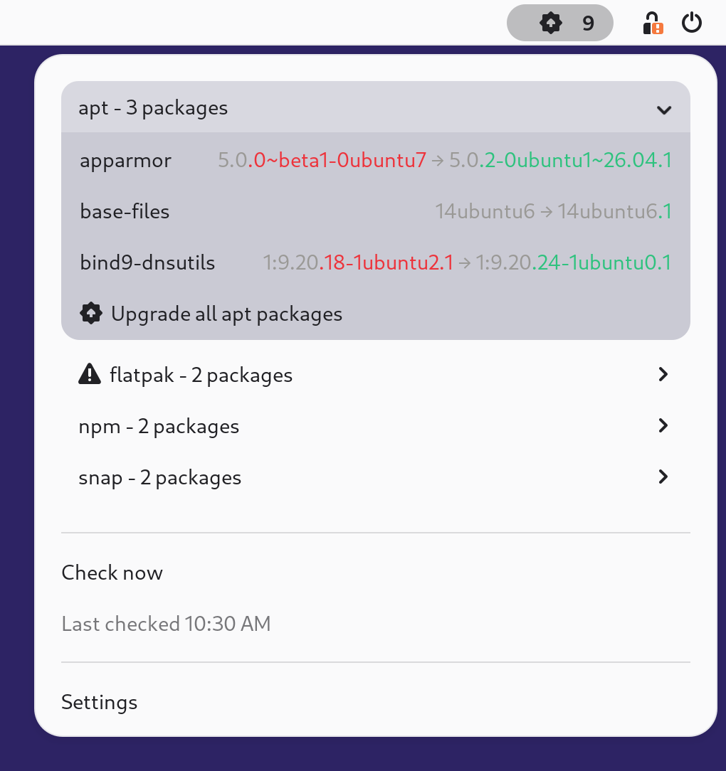 The extension's menu with one section per package manager, the first one unfolded, the failing one carrying a warning icon, each version pair flush right in the menu font