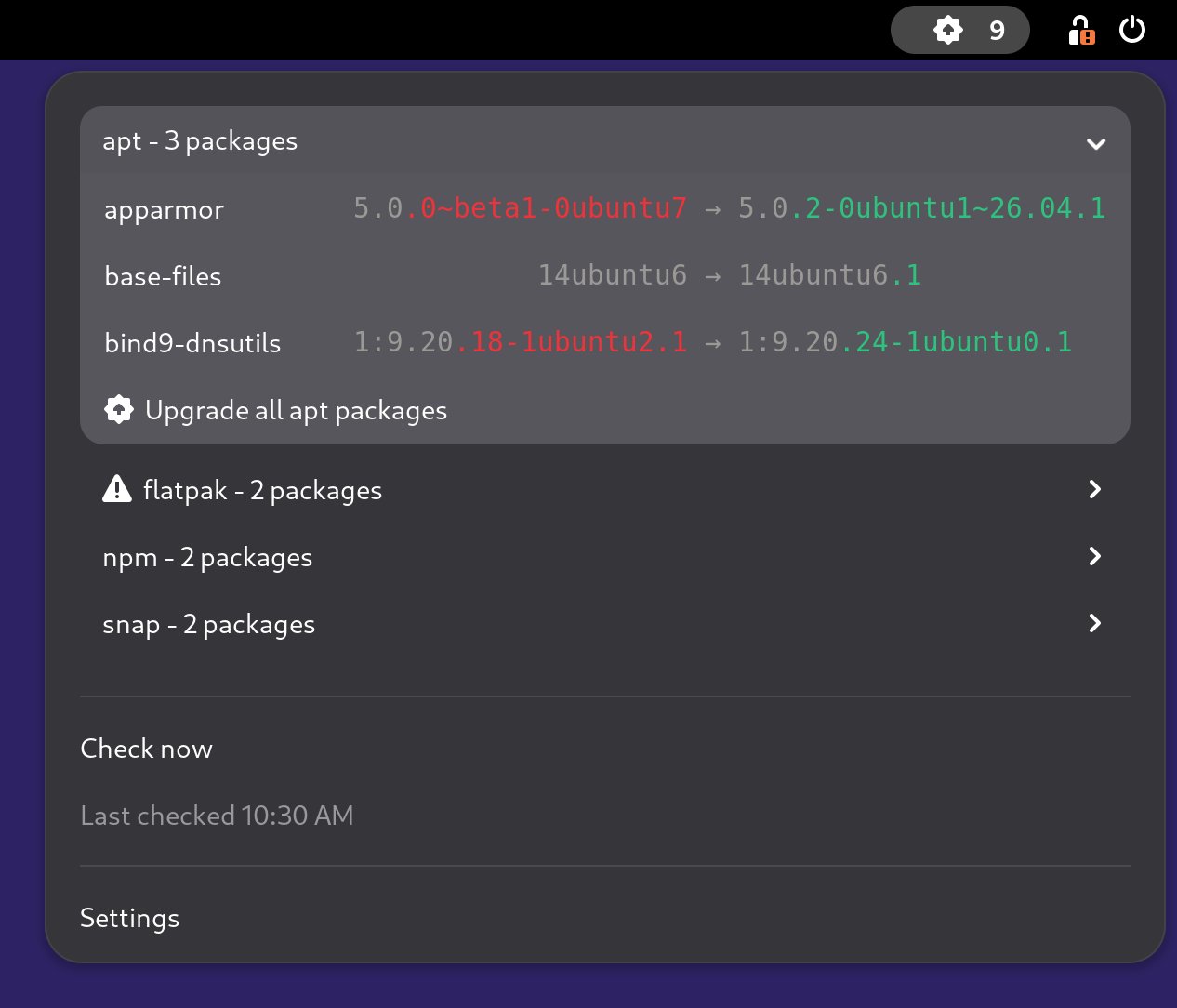 The extension's menu with one section per package manager, the first one unfolded, the failing one carrying a warning icon, each version pair centered on its arrow in a monospaced font